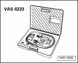 GW00017207
